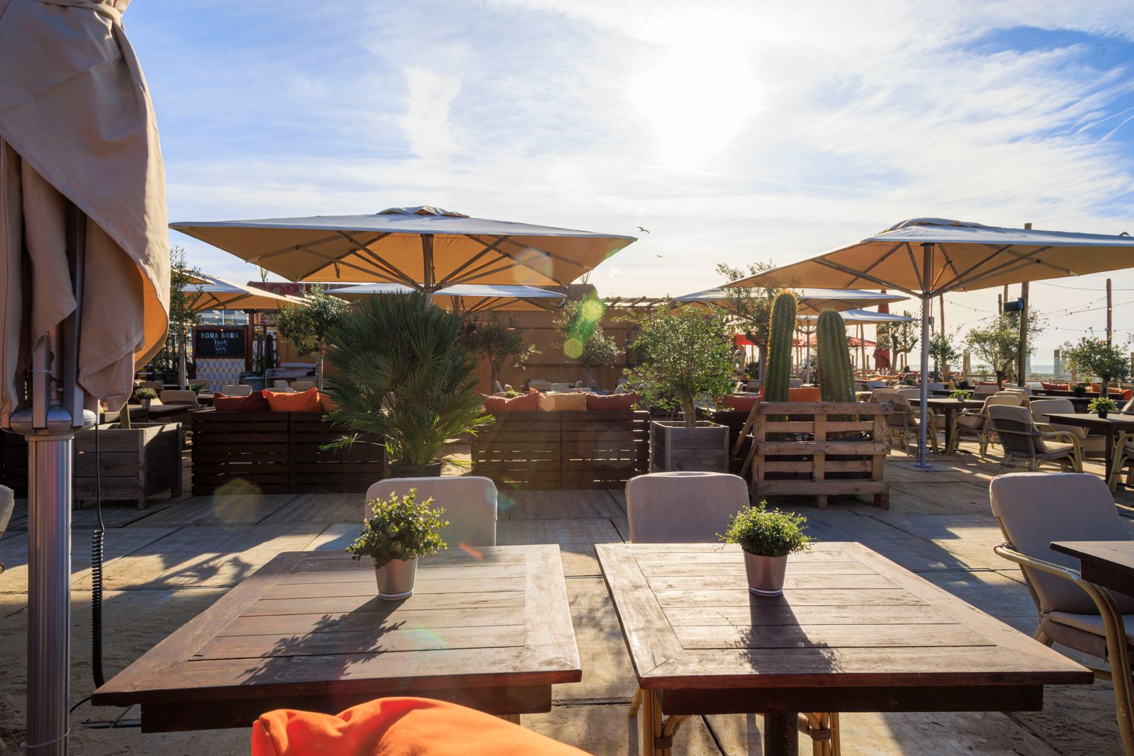 Sunny terrace with parasols at El Ni&ntilde;o beach restaurant Scheveningen